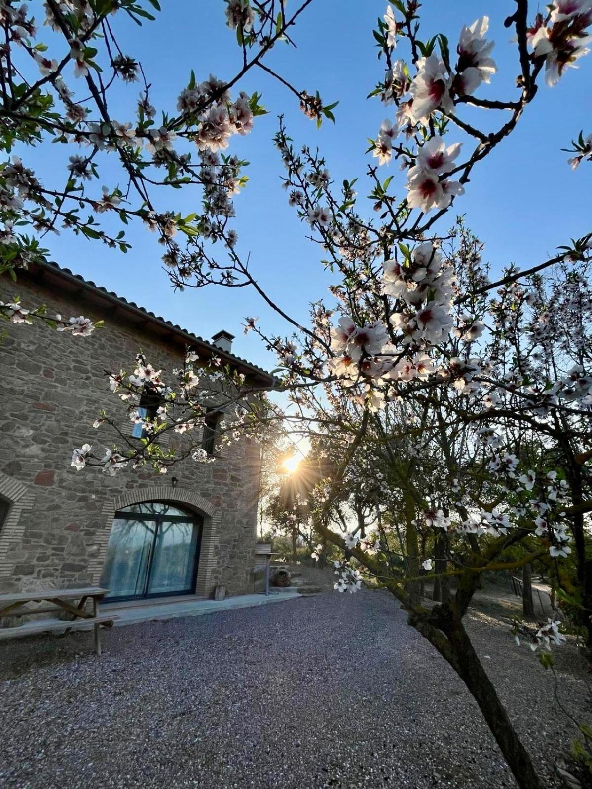 Ca L'Artigalas Cardona Buitenkant foto